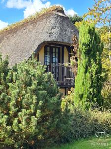 Maisons de vacances Chaumiere a l-etang des anemones : photos des chambres