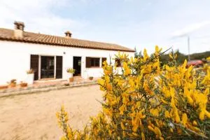 Casa ridente - Arzachena