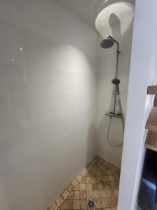 Maison de Vacances Avec Piscine Privée en Corse, BORGO