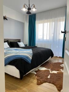 Apartament Teiu’s Ultracentral Baia Mare