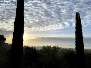Villa in La Motte, Provence - Amazing View from Pool Terrace
