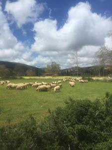 Robola Retreat Cottage