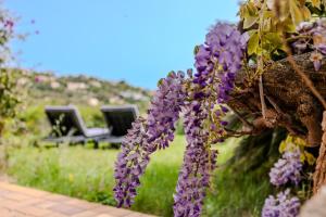 Provenzalisches Haus Homard - mit privatem Garten und Meerblick by Riviera HomeLife