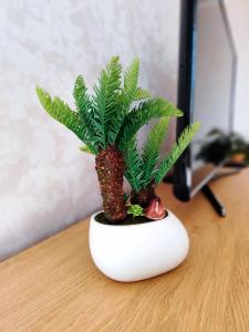 Kuressaare Rohu Apartment