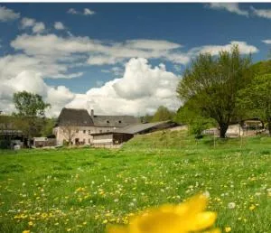 Zimmer auf dem Scheuerhof - Bombogen