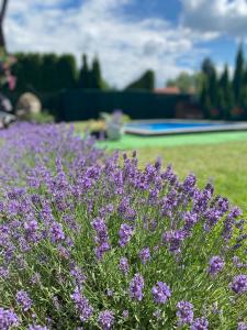 Apartmány U Jeřábků