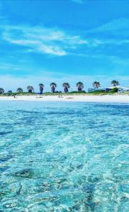 New Elegance Suites Guesthouse img15