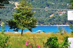 Εsperides Thassos Greece