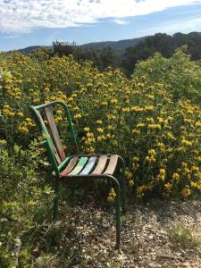 Appartements Les jardins de la Capeliere : Studio - Vue sur Montagne