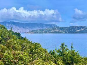 Punta Est - Quadri Orione Vista Mare Totale img1