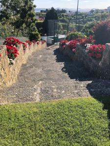 Luxury Home in Colares