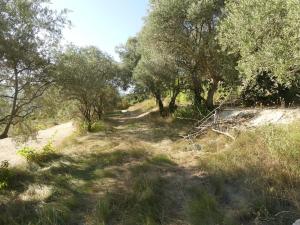 Maison de campagne La Teranga au coeur du Luberon