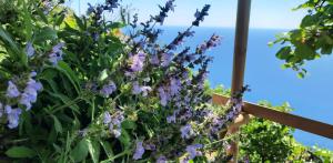 Sunset - Homy 5 Terre Retreat