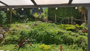 Appartements LES RIVES MONTANS : photos des chambres