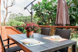 Stella Maris Holidays img2