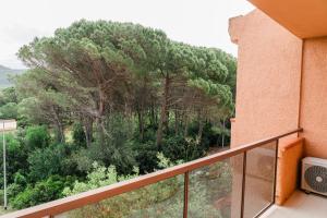 Stella Maris Holidays img48