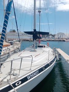 Velero Valencia Whimsy