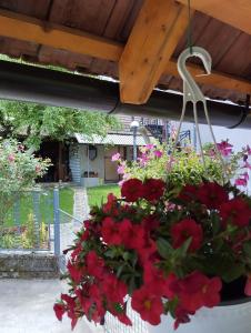 Drinski odmor ,,Mima,, 1