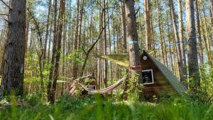 WaldCamp mit kleinen Hütten und Caravans in Cottbus Natur Pur