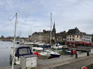 Appartements Large Apartment in City Center : Appartement 3 Chambres