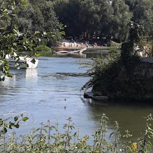 Annexe du pont de la Charente Côté jardin