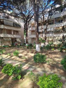 Golem Rajmondas House