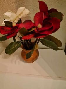 Golem Rajmondas House