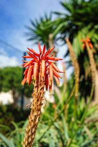 Riviera seaview getaway