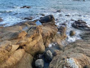 Maisons de vacances Maison Vue Mer, entre port et plage Port Manech : photos des chambres