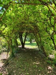 Cabañas Quebrada de los Talas