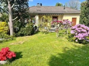 Ferienhaus Waldoase - Darlingerode