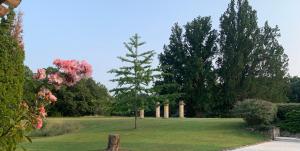 A haven…