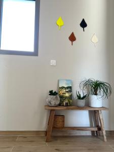 Maisons de vacances La belle vue : photos des chambres