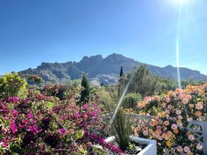 Maisons de vacances La belle vue : photos des chambres