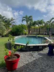 Bungalows créoles - Surgy