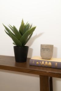 Modernes Altstadt Apartment