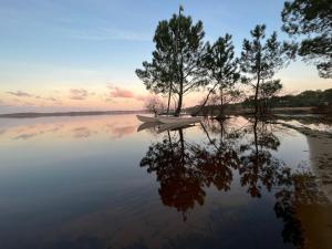 Maisons d'hotes SOCOA LE CABANON : photos des chambres