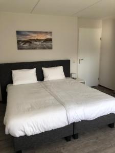 Waddenresidentie Ameland Zilt, een ruim 4-persoons appartement