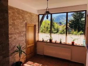 Stanca Soimilor - Jigodinu