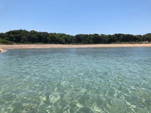 Apartman Gajac near Zrce 