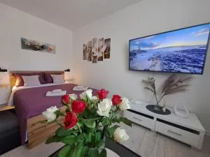 Apartman Studio Nicky - Kupari