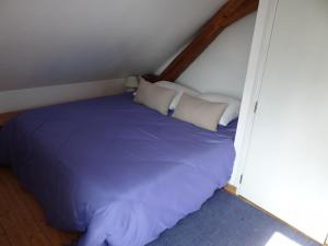 B&B / Chambres d'hotes Moulin Geant : photos des chambres