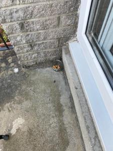Duisky Apartment with view over loch Linnhe.