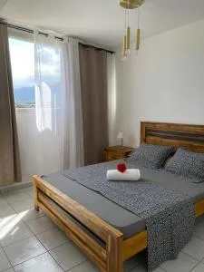 Éclats d’étoiles *** - Bois dʼOlive