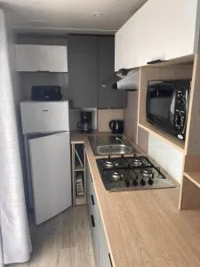 Charmant mobil home premium L048 - Нарбонн