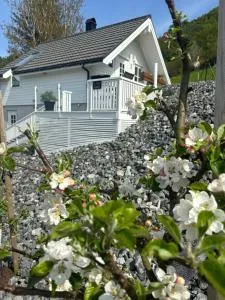 Fjord road - Fuglastein