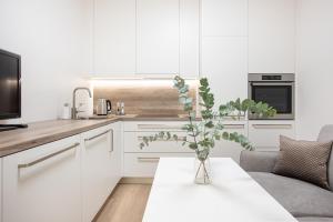 Cathedral apartment, perfect for couples