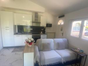 Appartements Studio climatise avec piscine et jardin : photos des chambres