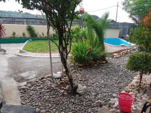 Remiracle Tour And Tracking