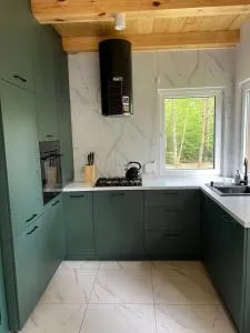 Domek w Borach Tucholskich z balia ogrodowa - Piaseczno